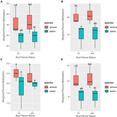 Identification of Putative Markers of Non-infectious Bud Failure in <mark class="highlighted">Almond</mark> [Prunus dulcis (Mill.) D.A. Webb] Through Genome Wide DNA Methylation Profiling and Gene Expression Analysis in an <mark class="highlighted">Almond</mark> × Peach Hybrid Population